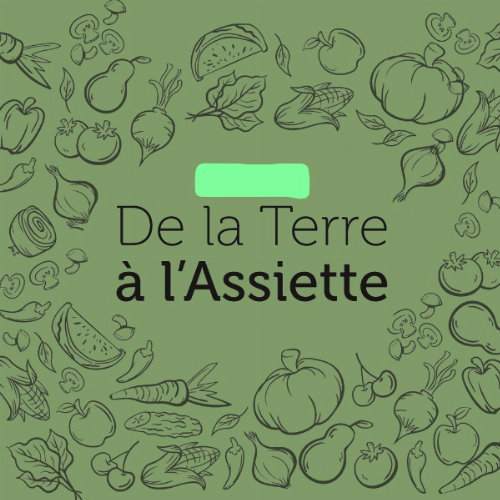 Logo De la terre à l’assiette